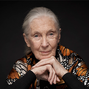 Jane Goodall